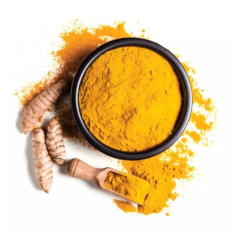 Tumeric Powder Ingredients Turmeric Rhizome Powder for Food Formulas Bulk Supplier